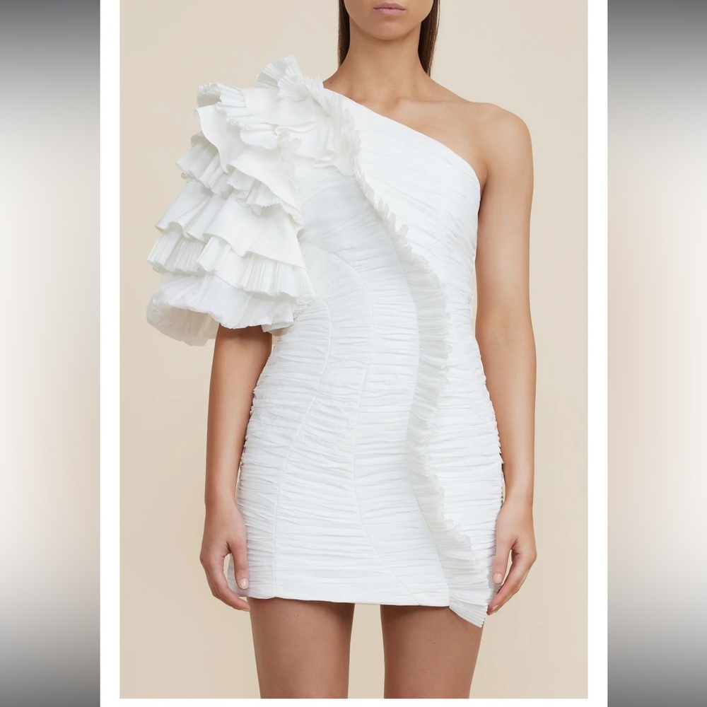 STUNNING Acler Ascot Dress